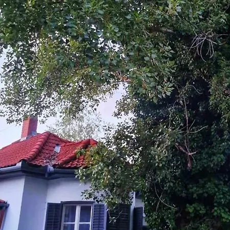 Arpad House *