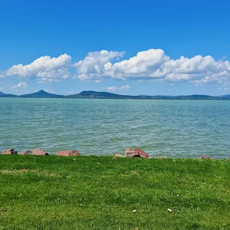 Apartment Arpad House