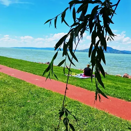 Apartment Arpad House