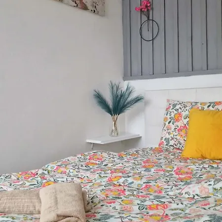 Apartment Arpad House *