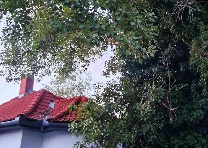 árpád House *