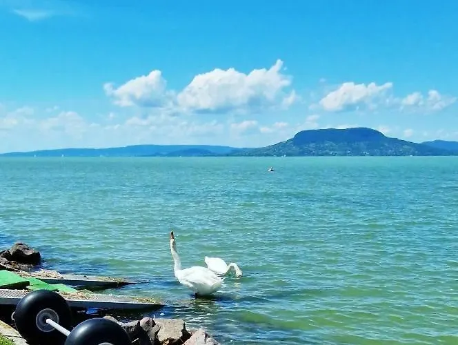 Arpad House 아파트 Fonyód